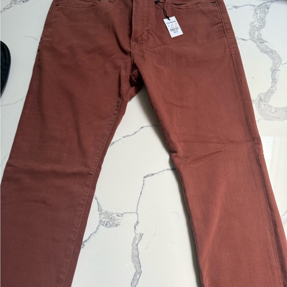 Express Copper Skinny Pants